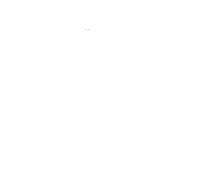 Invictus Security ISO 9001